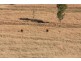 Kinbombi QLD 4601