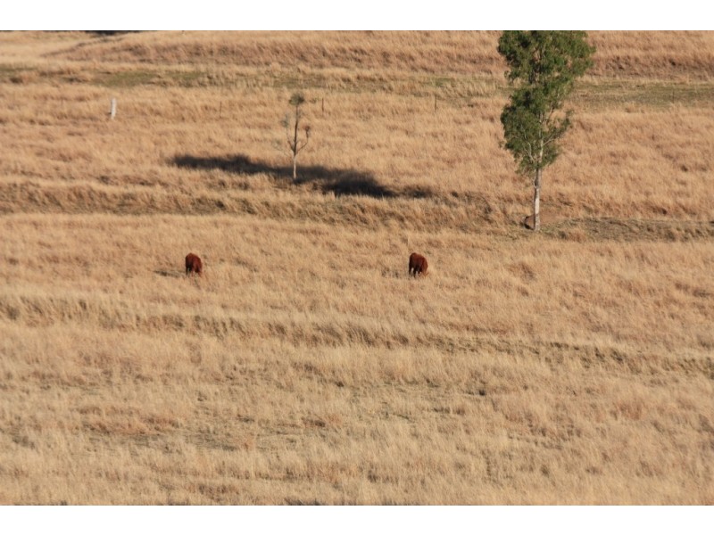 Kinbombi QLD 4601