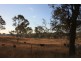 Kinbombi QLD 4601