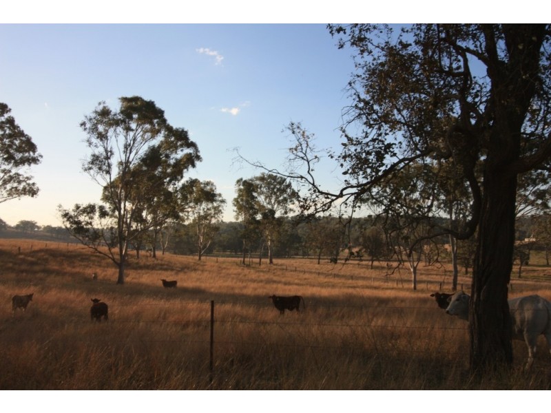 Kinbombi QLD 4601