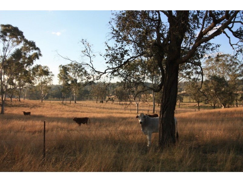 Kinbombi QLD 4601