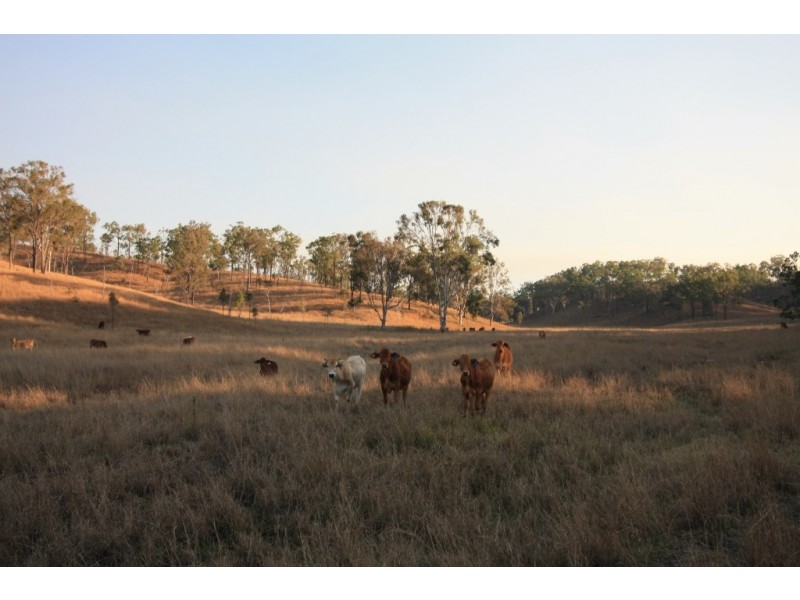 Kinbombi QLD 4601
