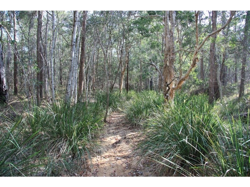 L 32 Baloghs Road, Anderleigh QLD 4570