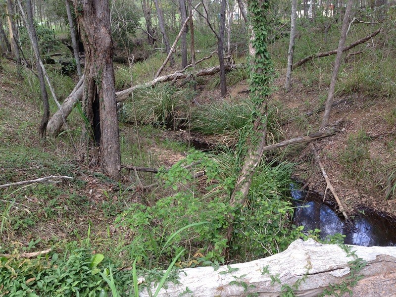 78 Kirsten Drive, Curra QLD 4570