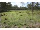 Wolvi QLD 4570