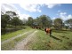 Wolvi QLD 4570