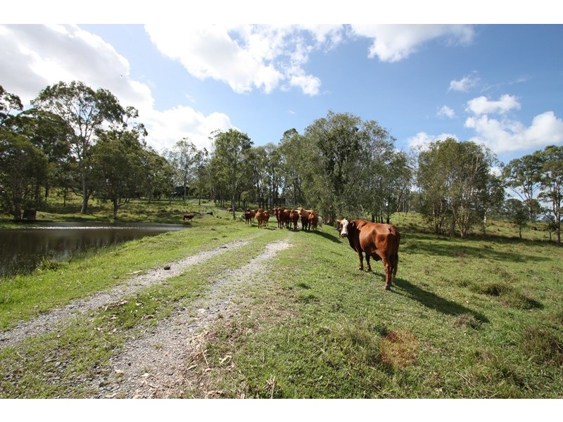 Wolvi QLD 4570