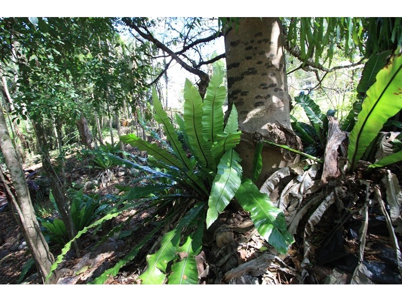 40 Harrys Creek Road, Amamoor QLD 4570