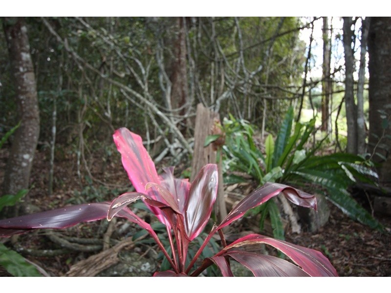 40 Harrys Creek Road, Amamoor QLD 4570