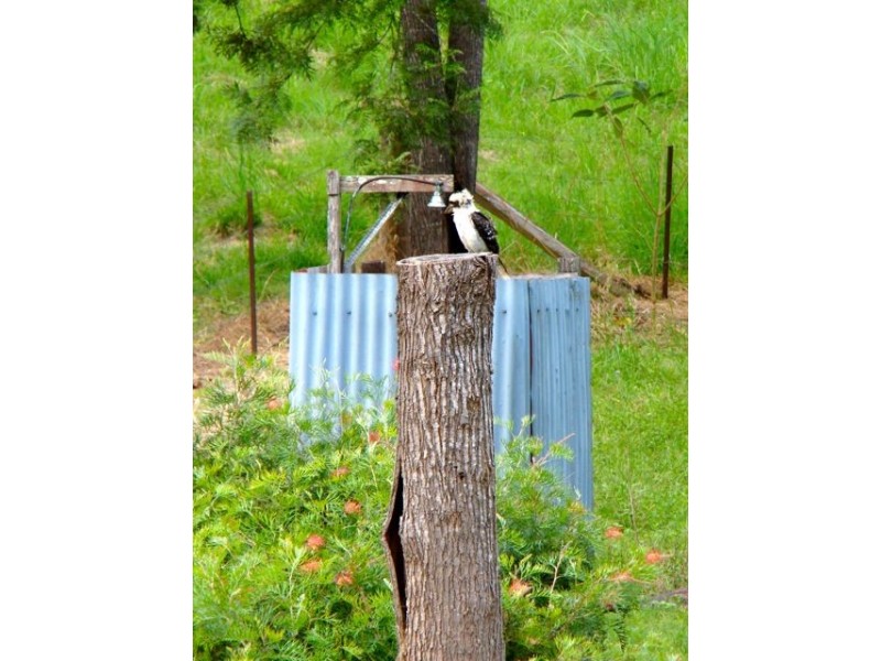 40 Harrys Creek Road, Amamoor QLD 4570