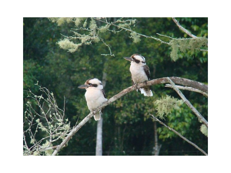 40 Harrys Creek Road, Amamoor QLD 4570