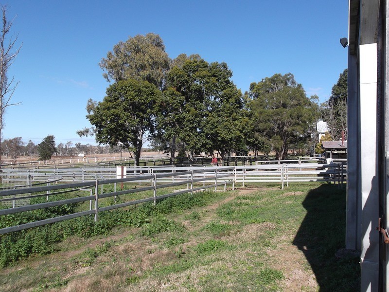 20 Zillmann Road, Tansey QLD 4601