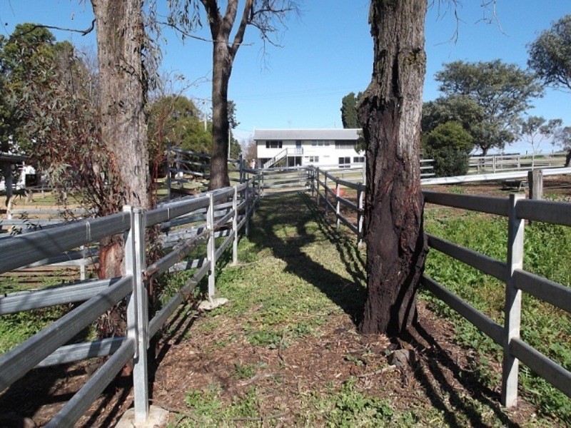 20 Zillmann Road, Tansey QLD 4601