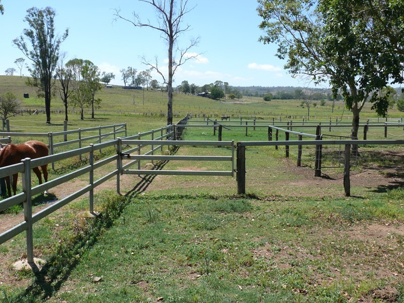 20 Zillmann Road, Tansey QLD 4601