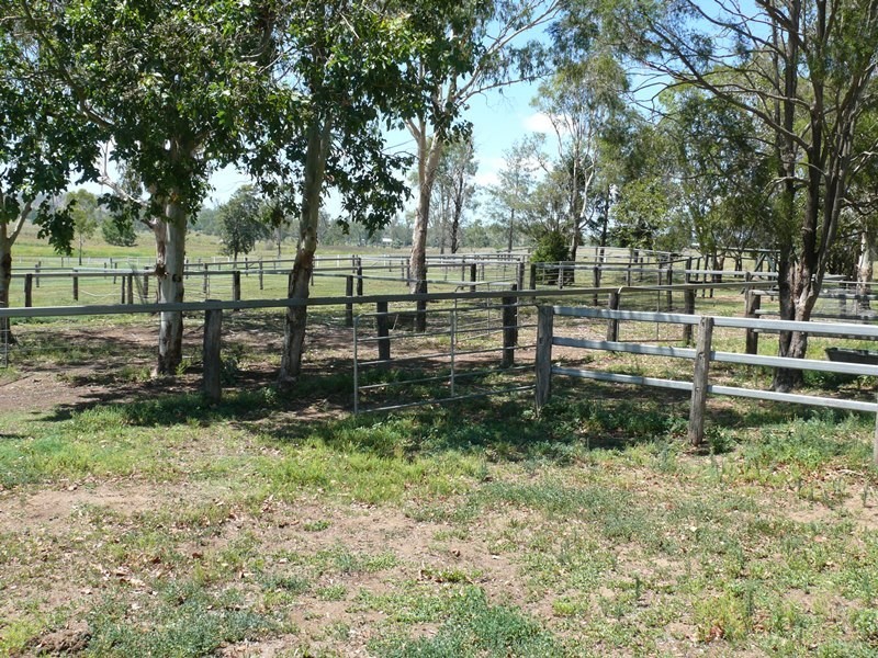 20 Zillmann Road, Tansey QLD 4601