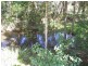 Lot 3 271 Sandy Creek Road, North Deep Creek QLD 4570
