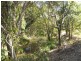Lot 3 271 Sandy Creek Road, North Deep Creek QLD 4570