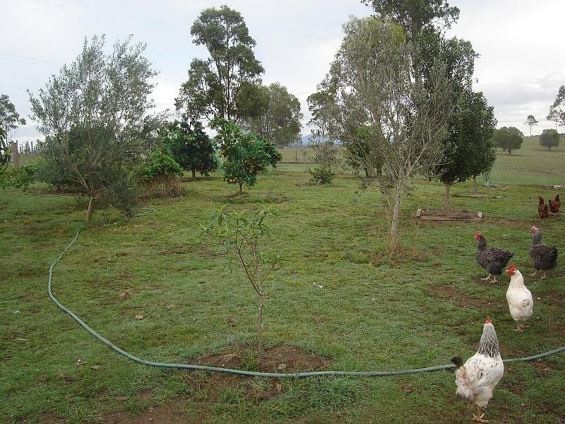 Bells Bridge QLD 4570