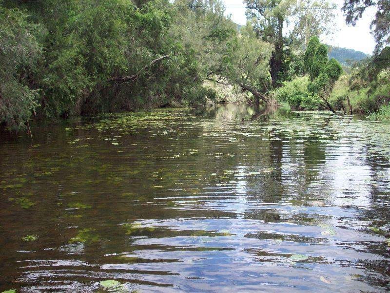 Glastonbury QLD 4570