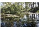 47 Nall Road, Wilsons Pocket QLD 4570