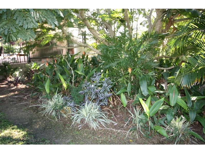 47 Nall Road, Wilsons Pocket QLD 4570