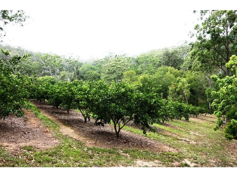 496 Beenham Valley Road, Beenaam Valley QLD 4570
