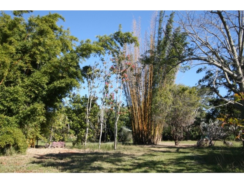 25 Palmer Court, The Dawn QLD 4570