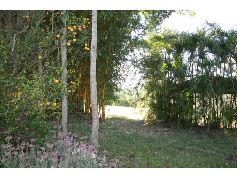 25 Palmer Court, The Dawn QLD 4570