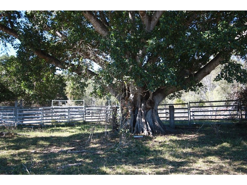 363 Thornside Road, Widgee QLD 4570