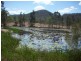 363 Thornside Road, Widgee QLD 4570