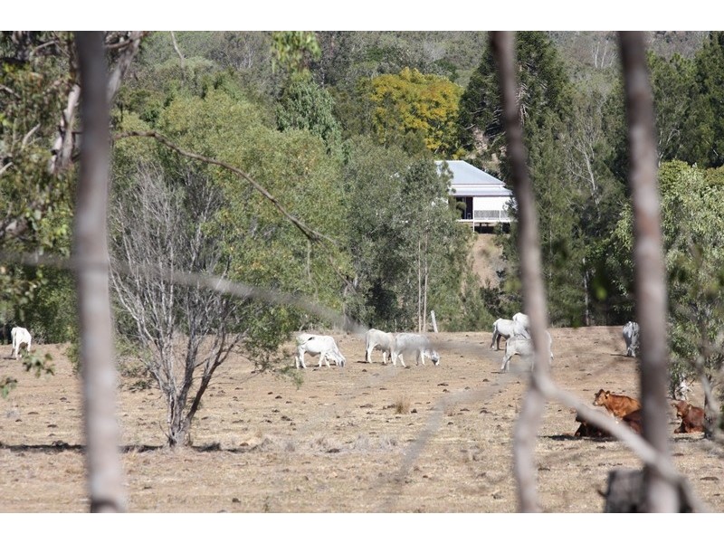363 Thornside Road, Widgee QLD 4570