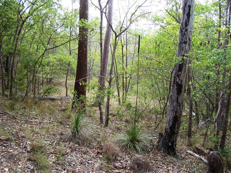 229 Kanyan Road, Kanigan QLD 4570