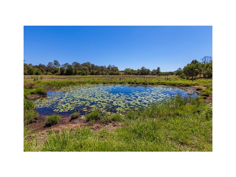 130 Hasthorpe Road, Kandanga QLD 4570