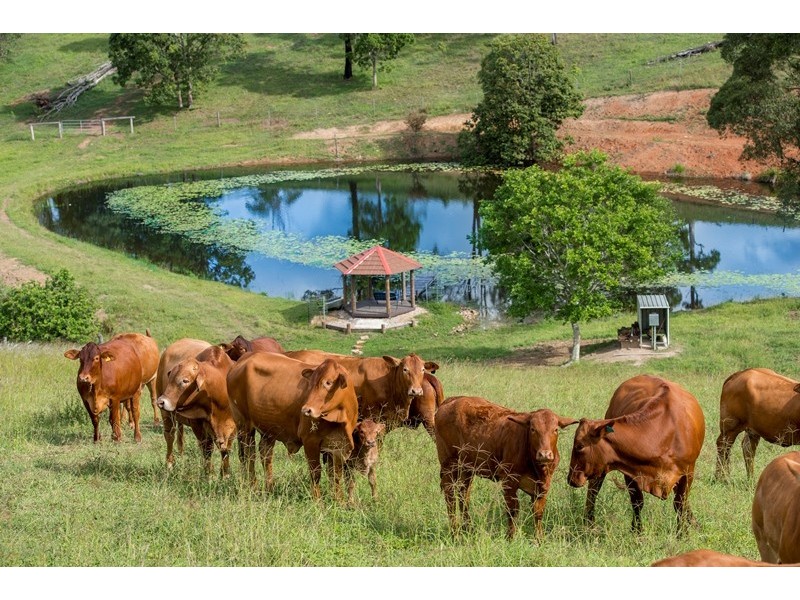 207 Fritz Road, Chatsworth QLD 4570