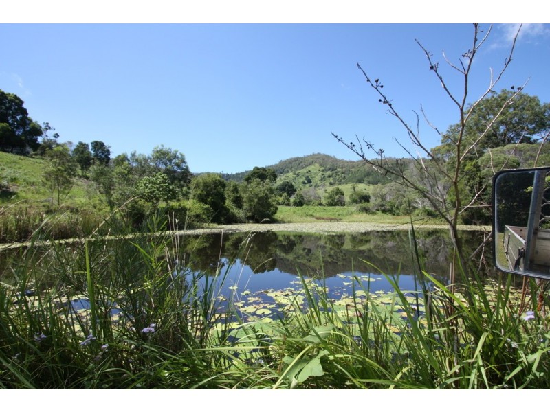 Cedar Pocket QLD 4570