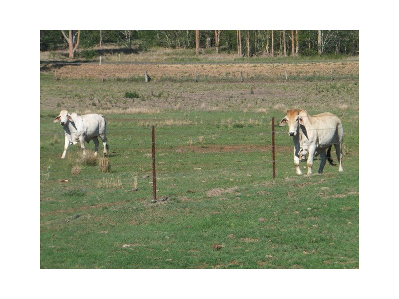 32 Wittenburg Road, Tansey QLD 4601