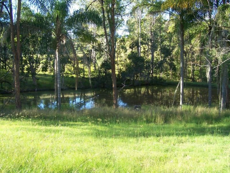 15 Trout Road, The Dawn QLD 4570