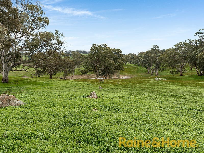 160 Peggy Buxton Road, Nairne SA 5252