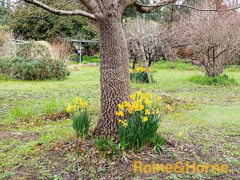 735 Swamp Road, Lenswood SA 5240