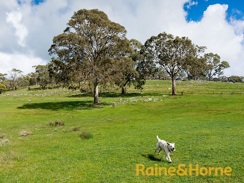 40 Cobargo Road (Harrogate), Charleston SA 5244