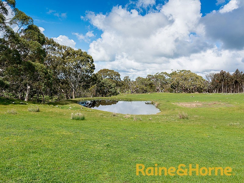 40 Cobargo Road (Harrogate), Charleston SA 5244