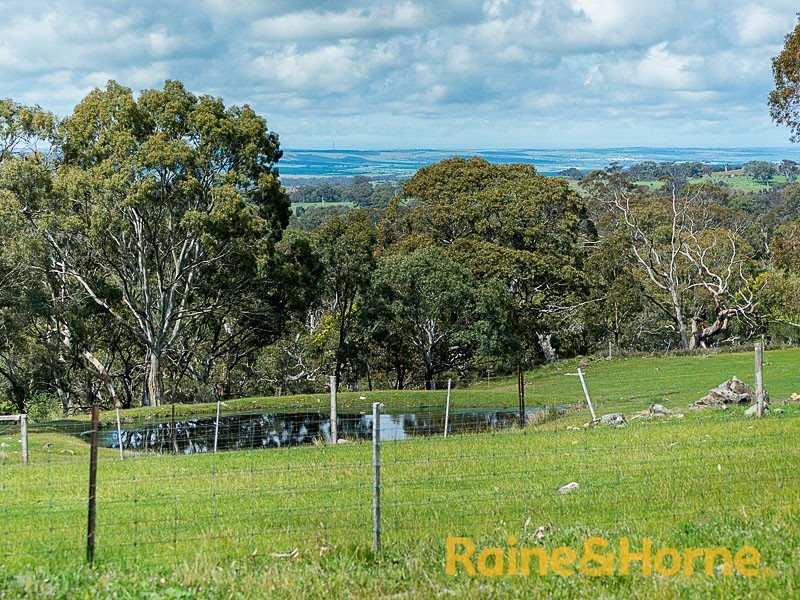 40 Cobargo Road (Harrogate), Charleston SA 5244