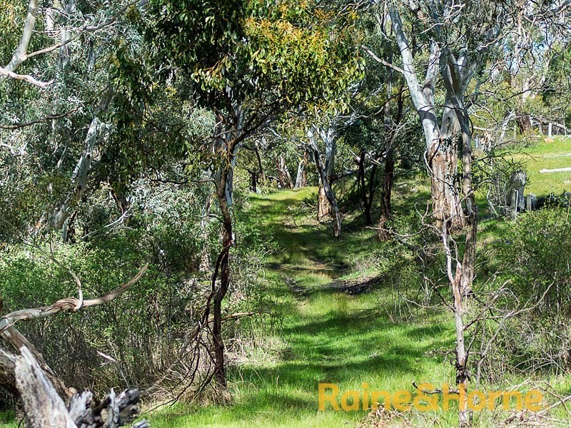 40 Cobargo Road (Harrogate), Charleston SA 5244