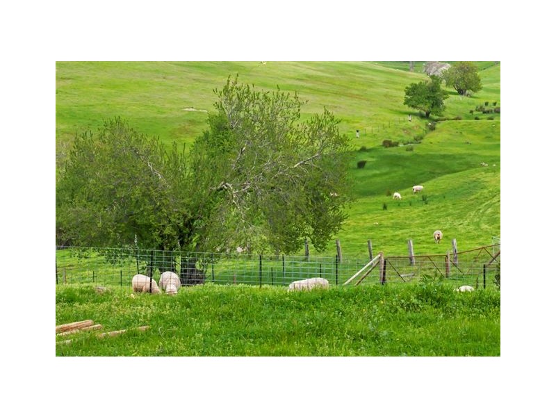 2834 North East Rd, Chain Of Ponds SA 5231