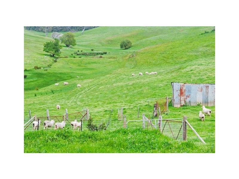 2834 North East Rd, Chain Of Ponds SA 5231