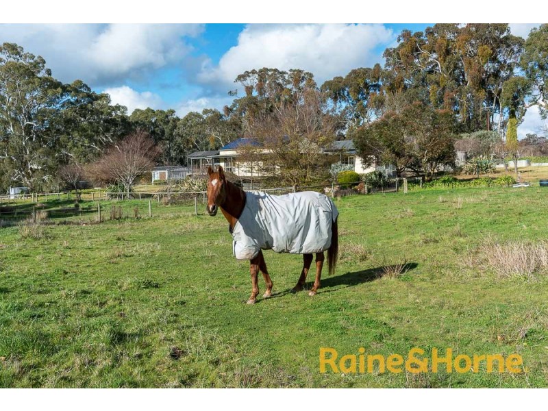 67 Peacocks Road South, Oakbank SA 5243