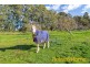 67 Peacocks Road South, Oakbank SA 5243