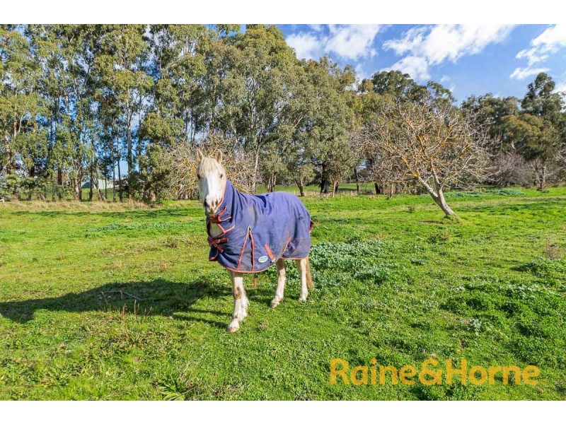 67 Peacocks Road South, Oakbank SA 5243