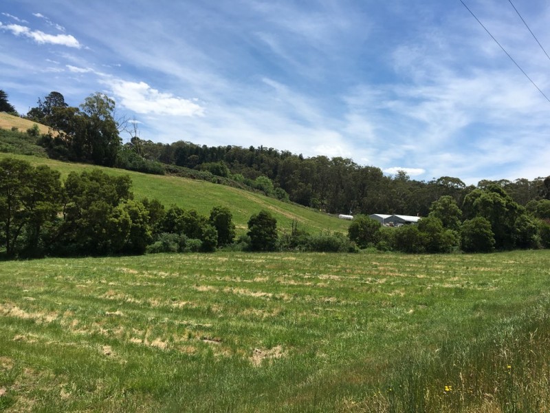 Lot 101 Swamp Road, Lenswood SA 5240