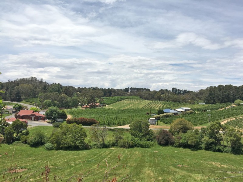 Lot 101 Swamp Road, Lenswood SA 5240